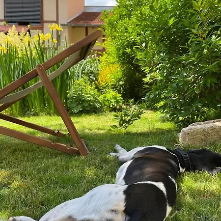 Holiday home Ferienhaus Am Herzbach Bad Langensalza, Ot Illeben